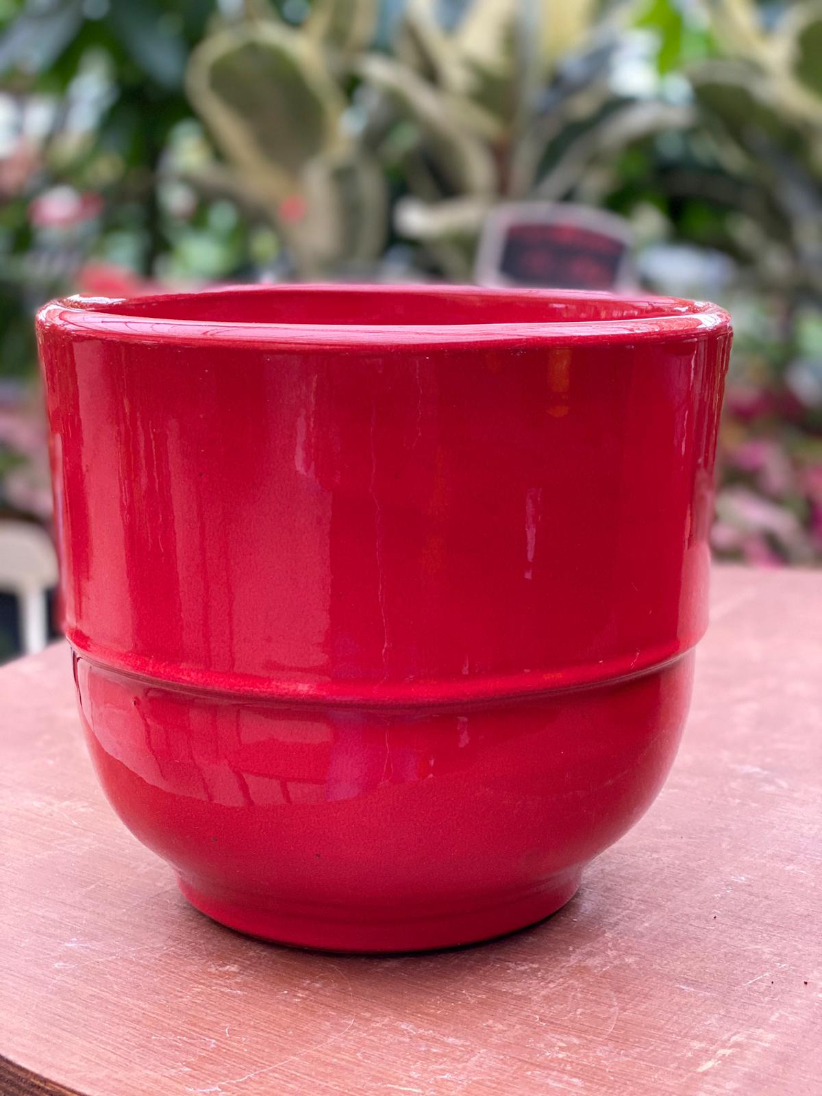 PEPINIERE DES ASPRES GRASSE 2024 ALPES MARITIMES JARDINERIE