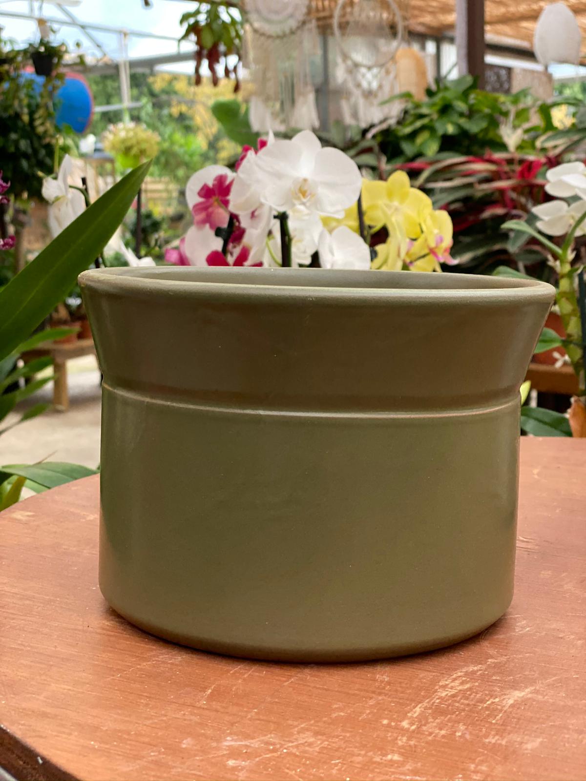 PEPINIERE DES ASPRES GRASSE 2024 ALPES MARITIMES JARDINERIE