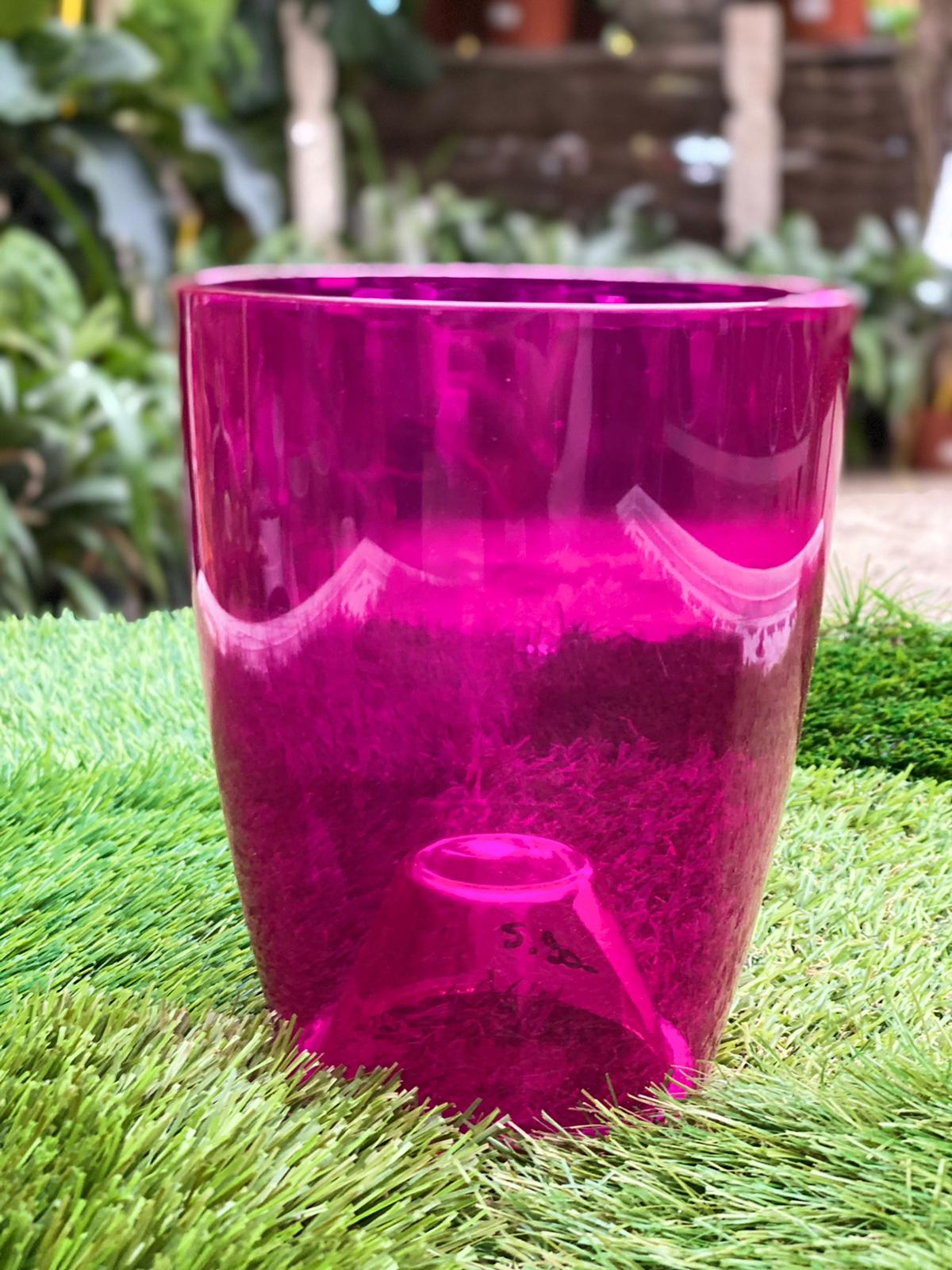 PEPINIERE DES ASPRES GRASSE 2024 ALPES MARITIMES JARDINERIE