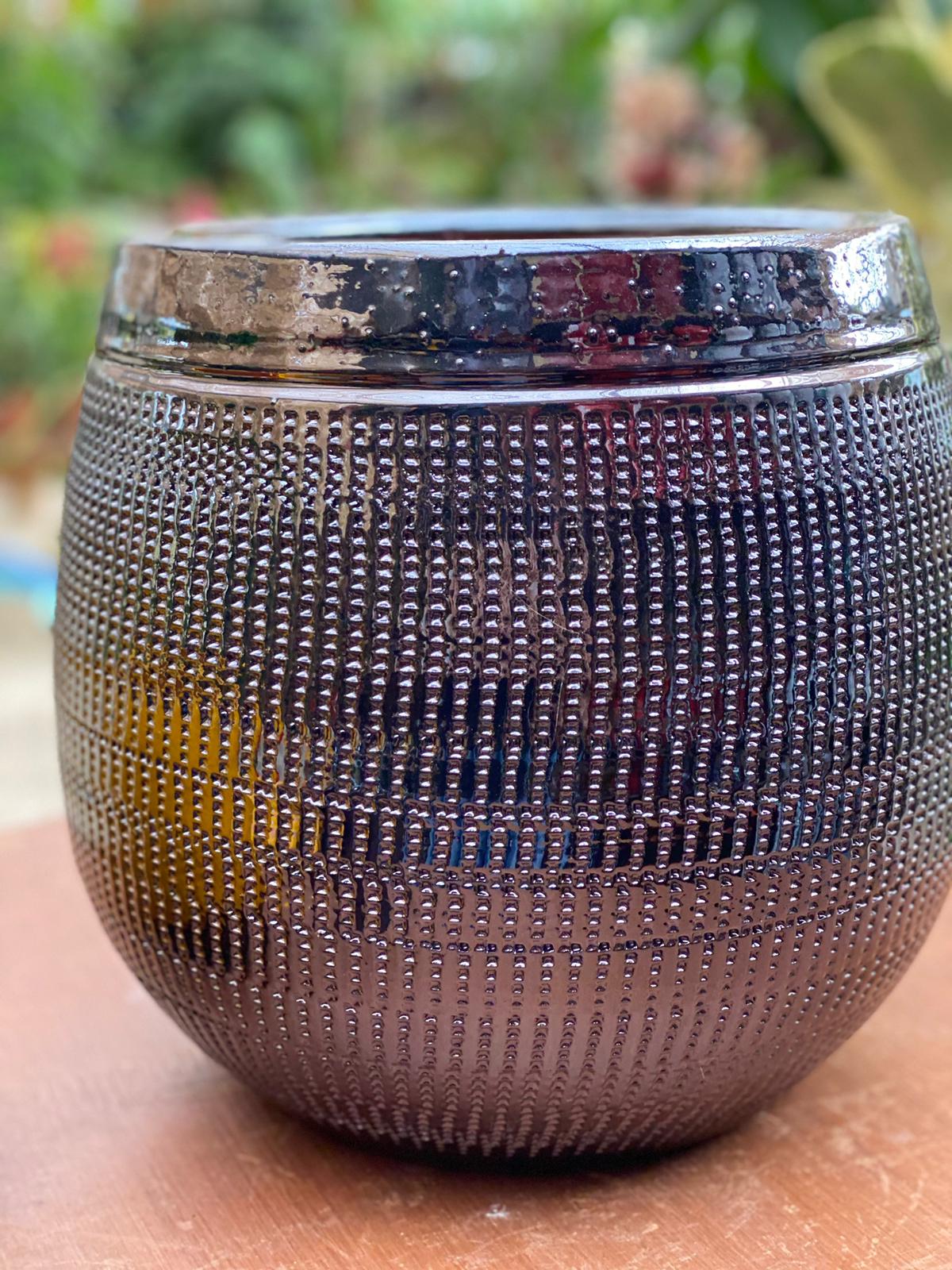 PEPINIERE DES ASPRES GRASSE 2024 ALPES MARITIMES JARDINERIE