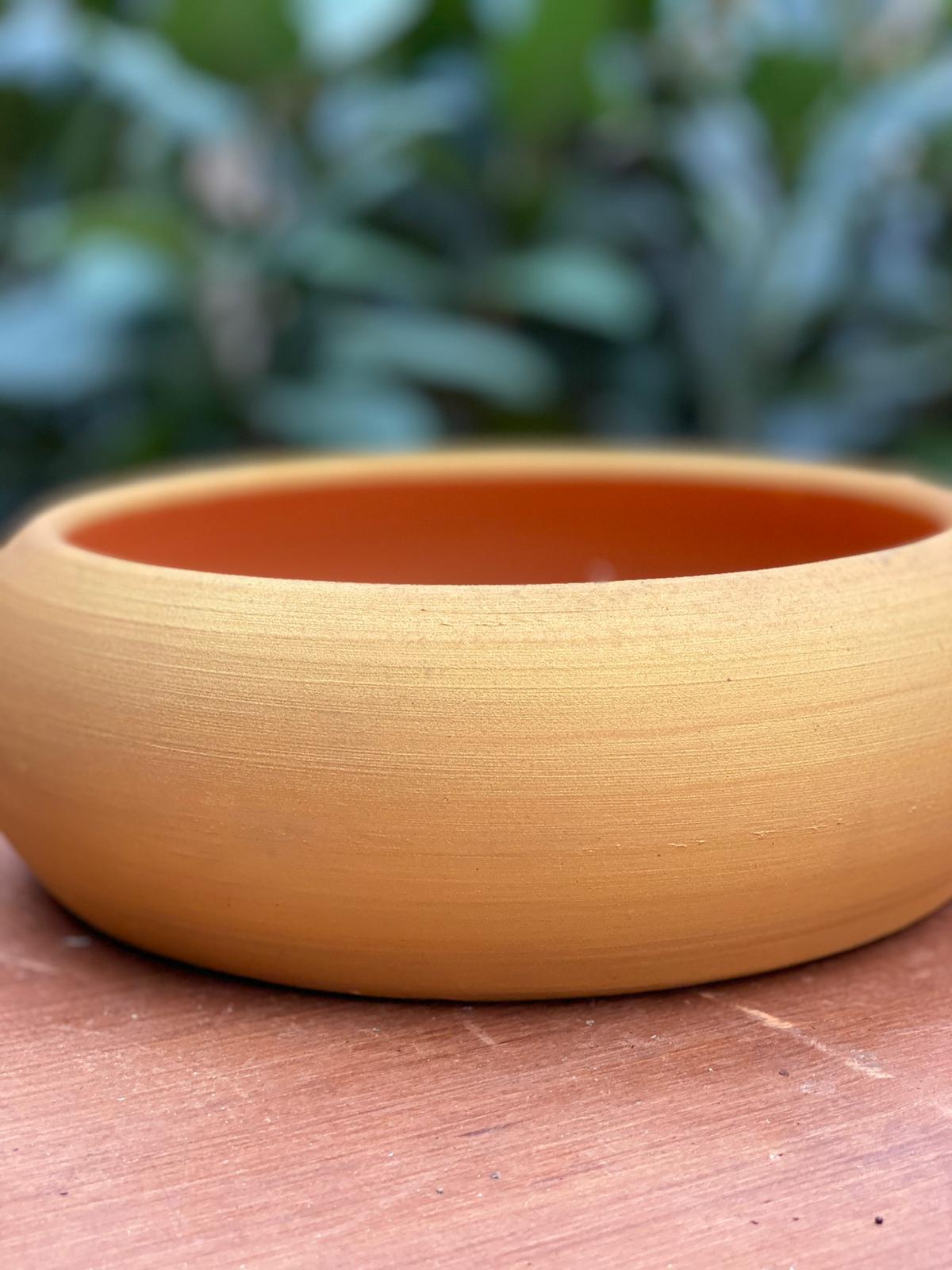 PEPINIERE DES ASPRES GRASSE 2024 ALPES MARITIMES JARDINERIE