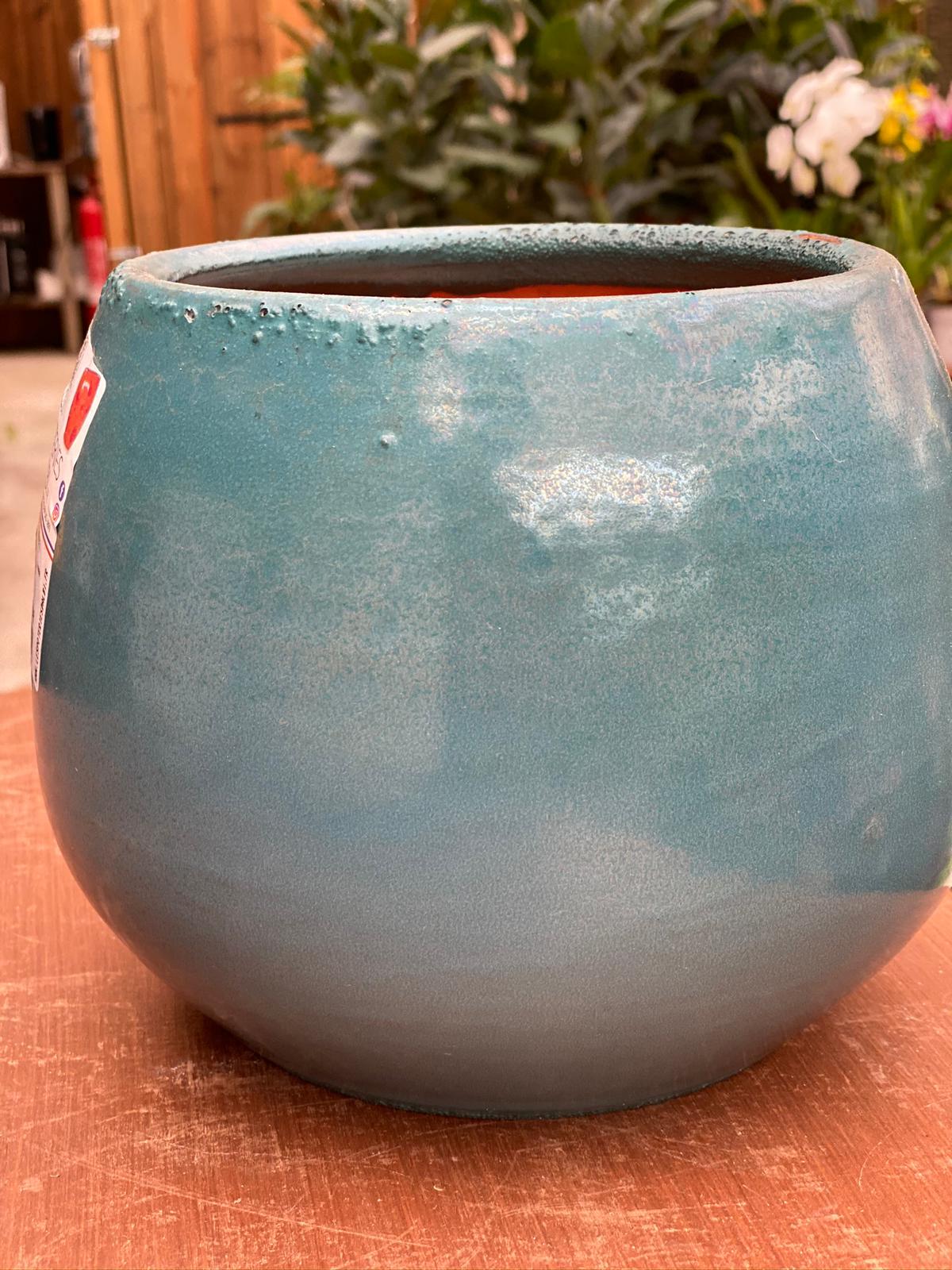 PEPINIERE DES ASPRES GRASSE 2024 ALPES MARITIMES JARDINERIE