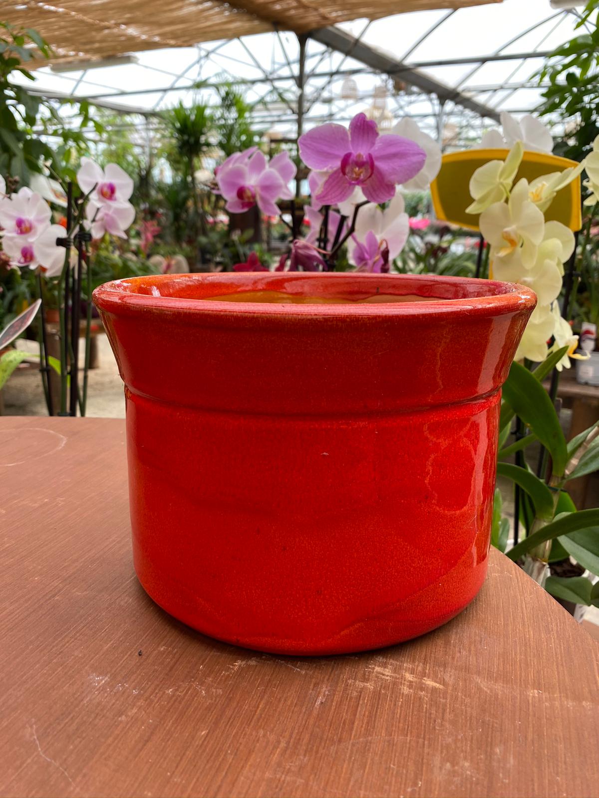 PEPINIERE DES ASPRES GRASSE 2024 ALPES MARITIMES JARDINERIE