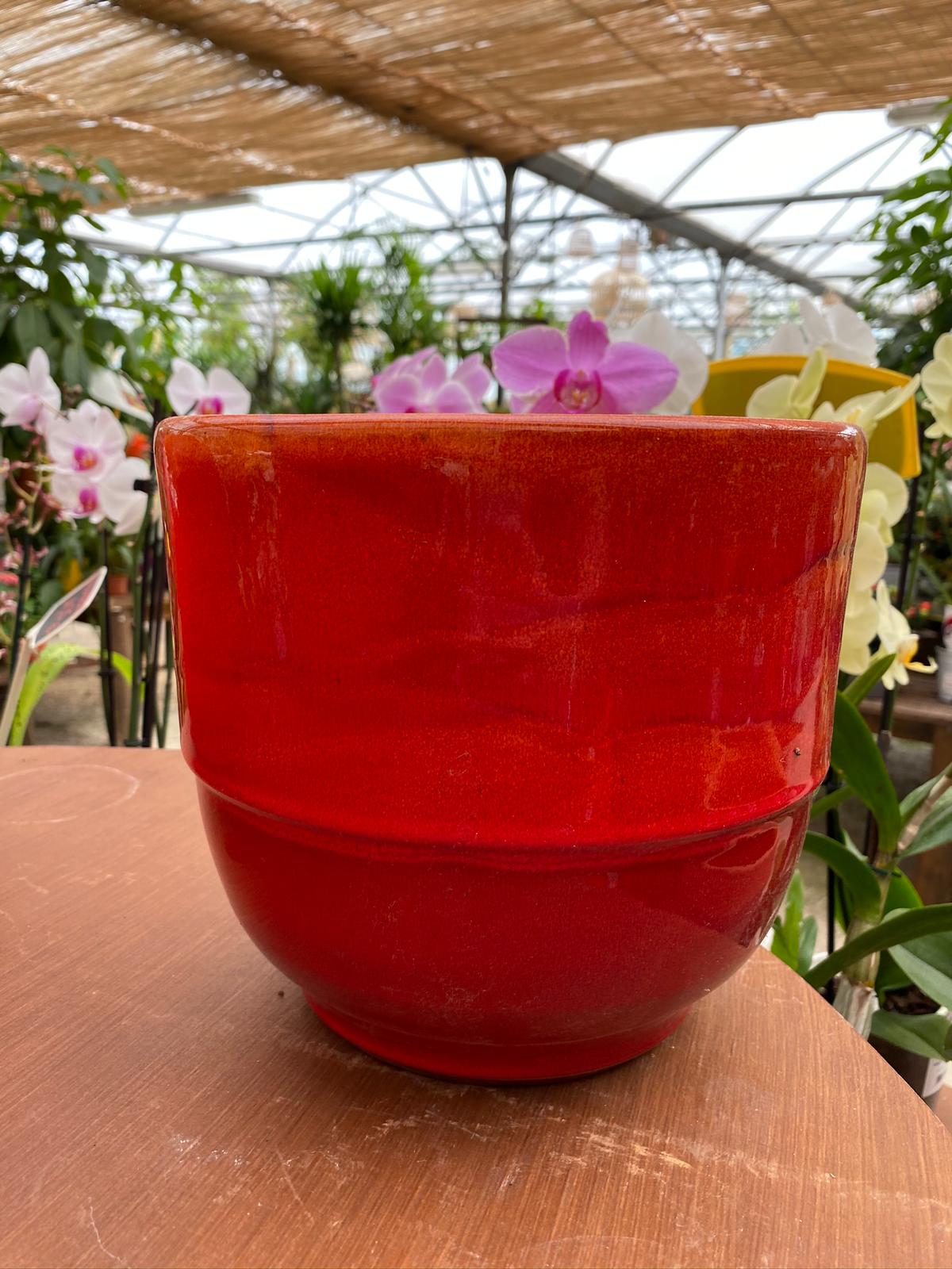 PEPINIERE DES ASPRES GRASSE 2024 ALPES MARITIMES JARDINERIE