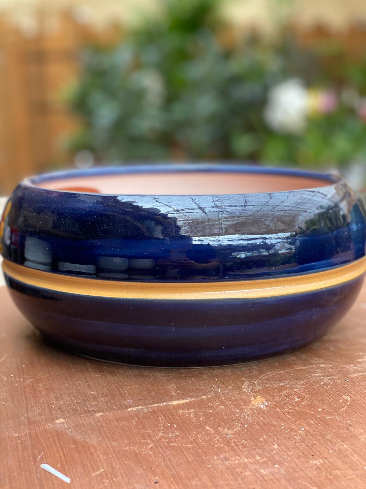 PEPINIERE DES ASPRES GRASSE 2024 ALPES MARITIMES JARDINERIE