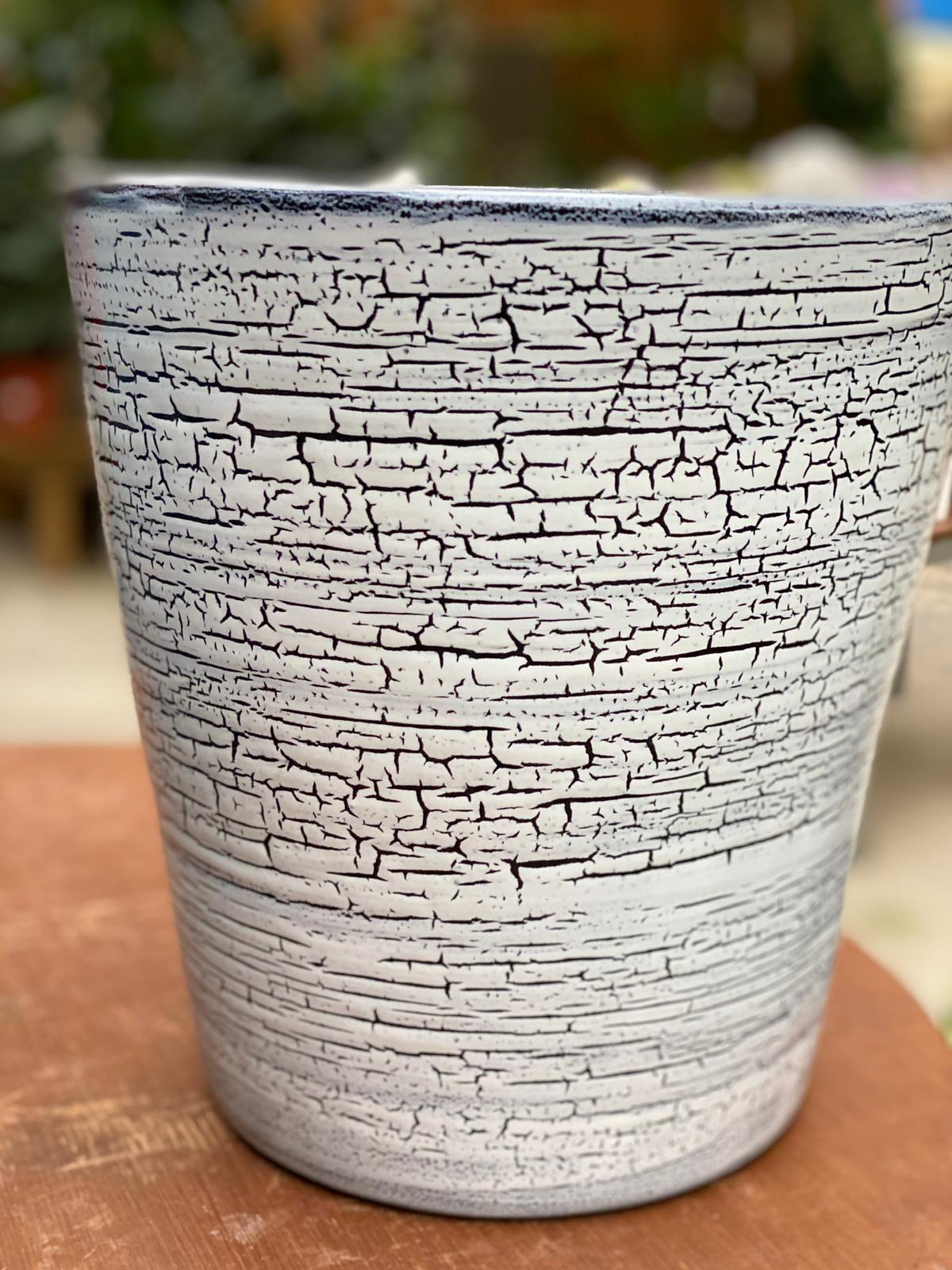 PEPINIERE DES ASPRES GRASSE 2024 ALPES MARITIMES JARDINERIE