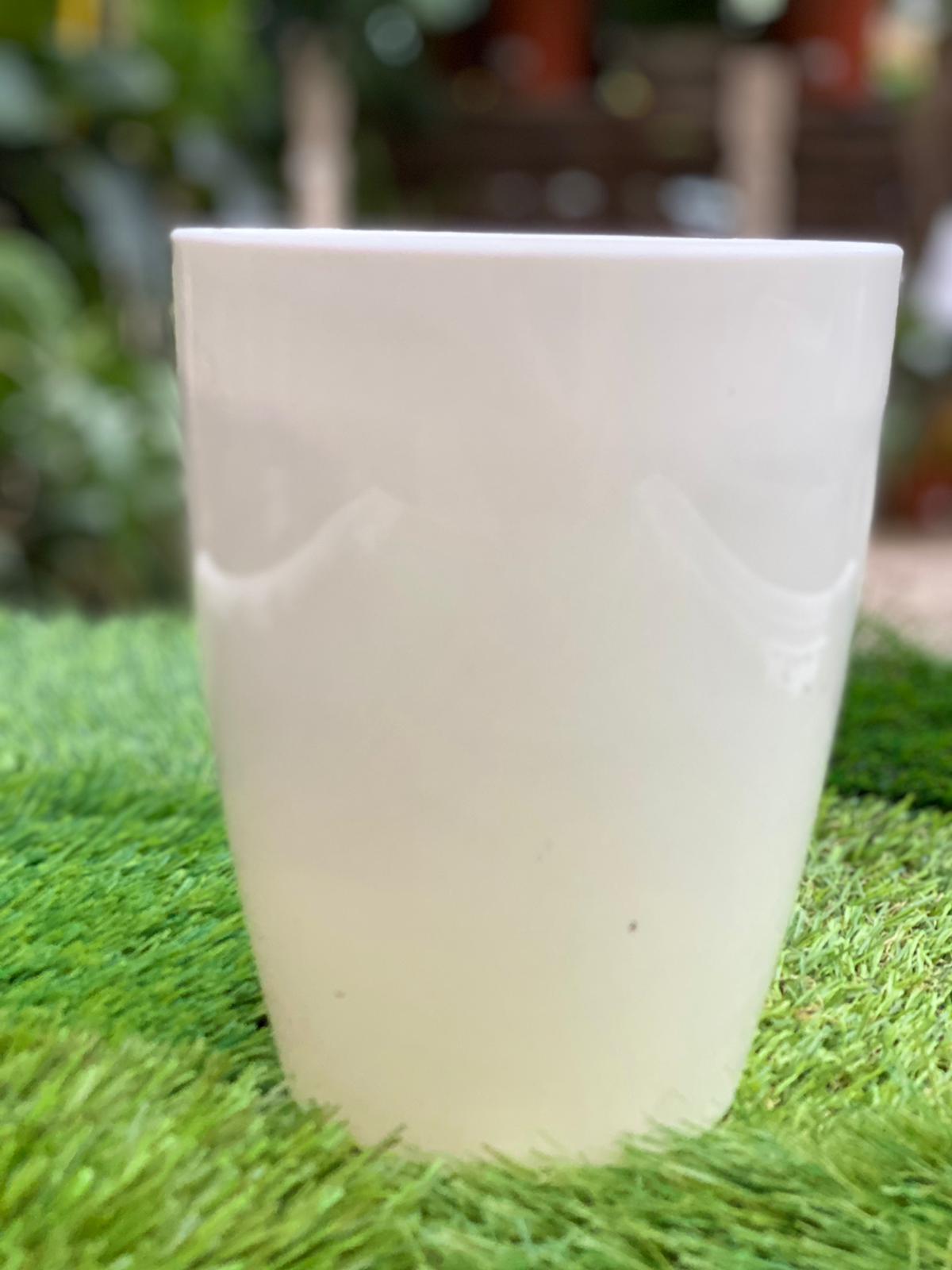 PEPINIERE DES ASPRES GRASSE 2024 ALPES MARITIMES JARDINERIE