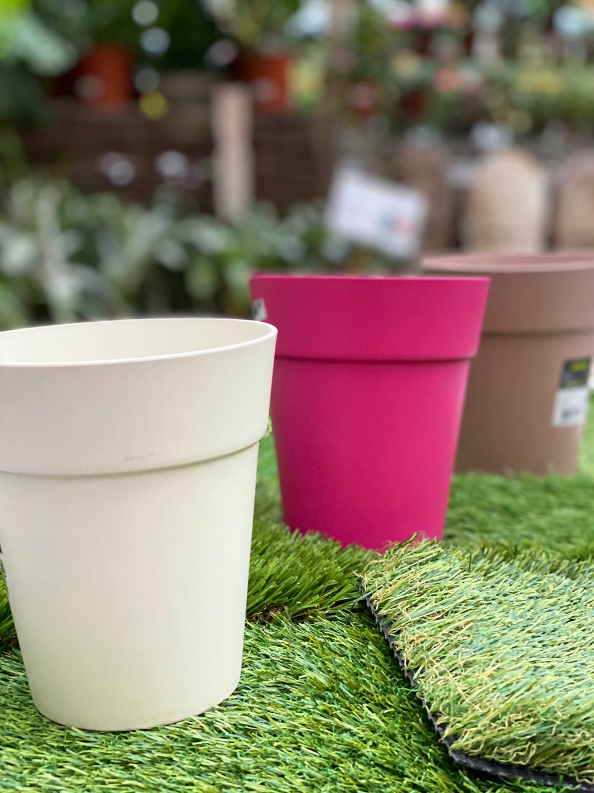 PEPINIERE DES ASPRES GRASSE 2024 ALPES MARITIMES JARDINERIE