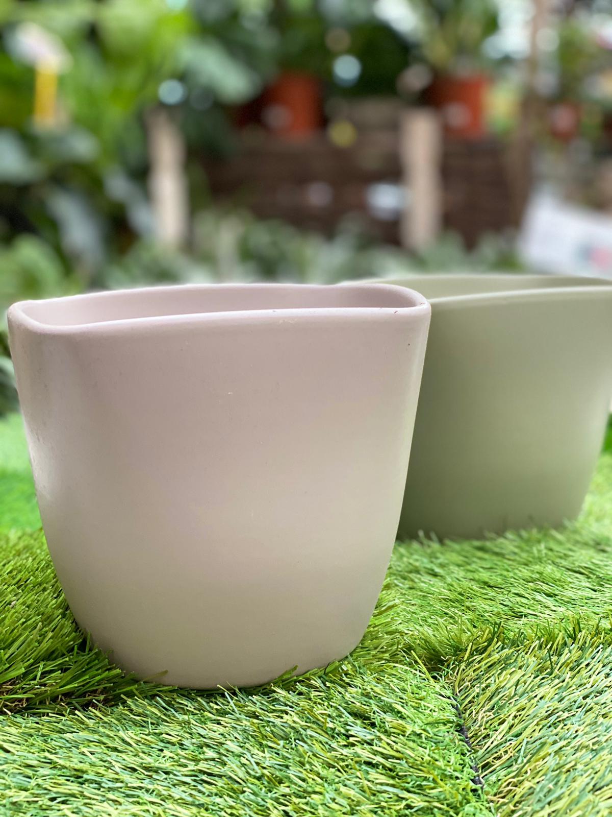 PEPINIERE DES ASPRES GRASSE 2024 ALPES MARITIMES JARDINERIE