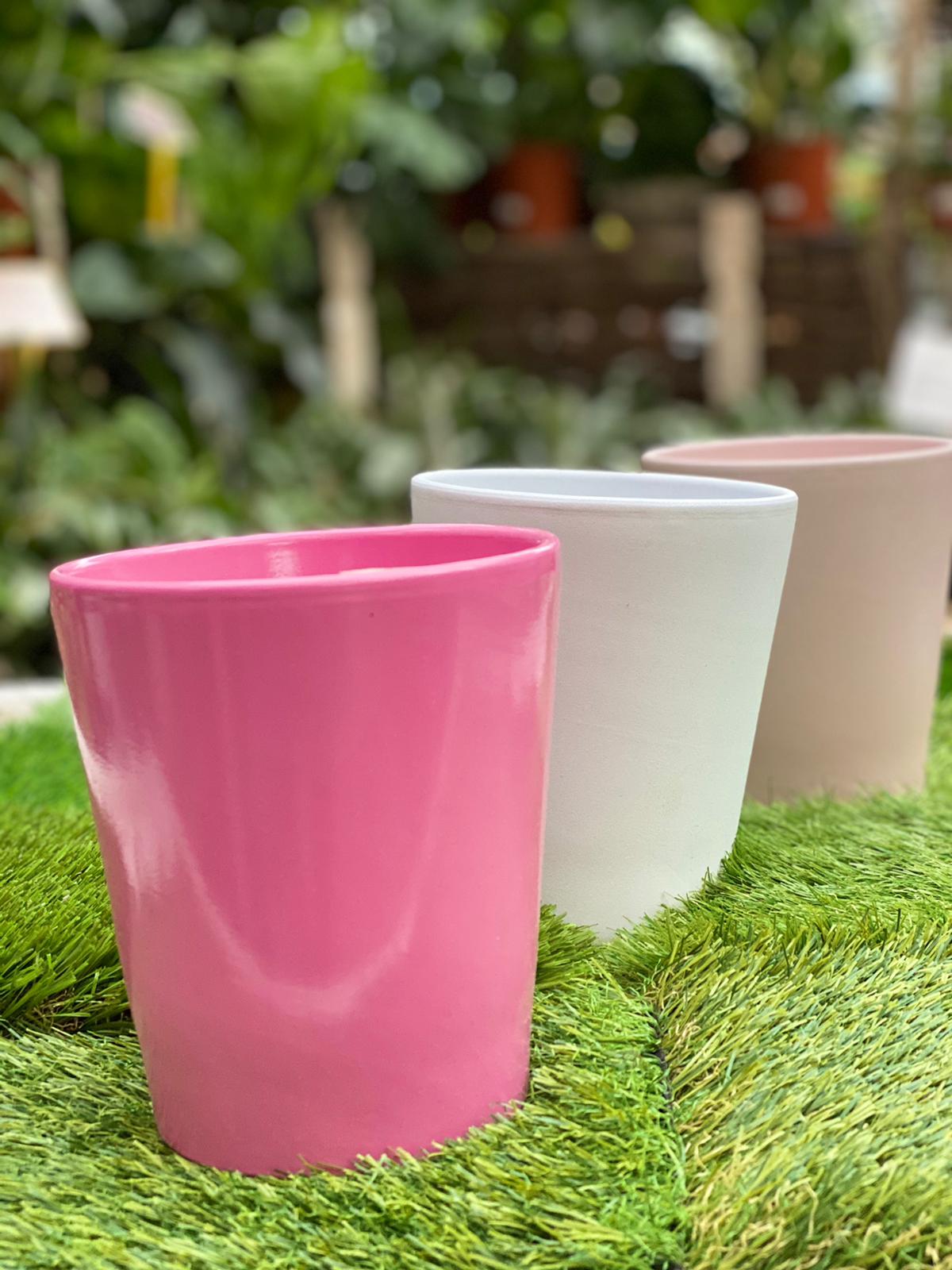 PEPINIERE DES ASPRES GRASSE 2024 ALPES MARITIMES JARDINERIE