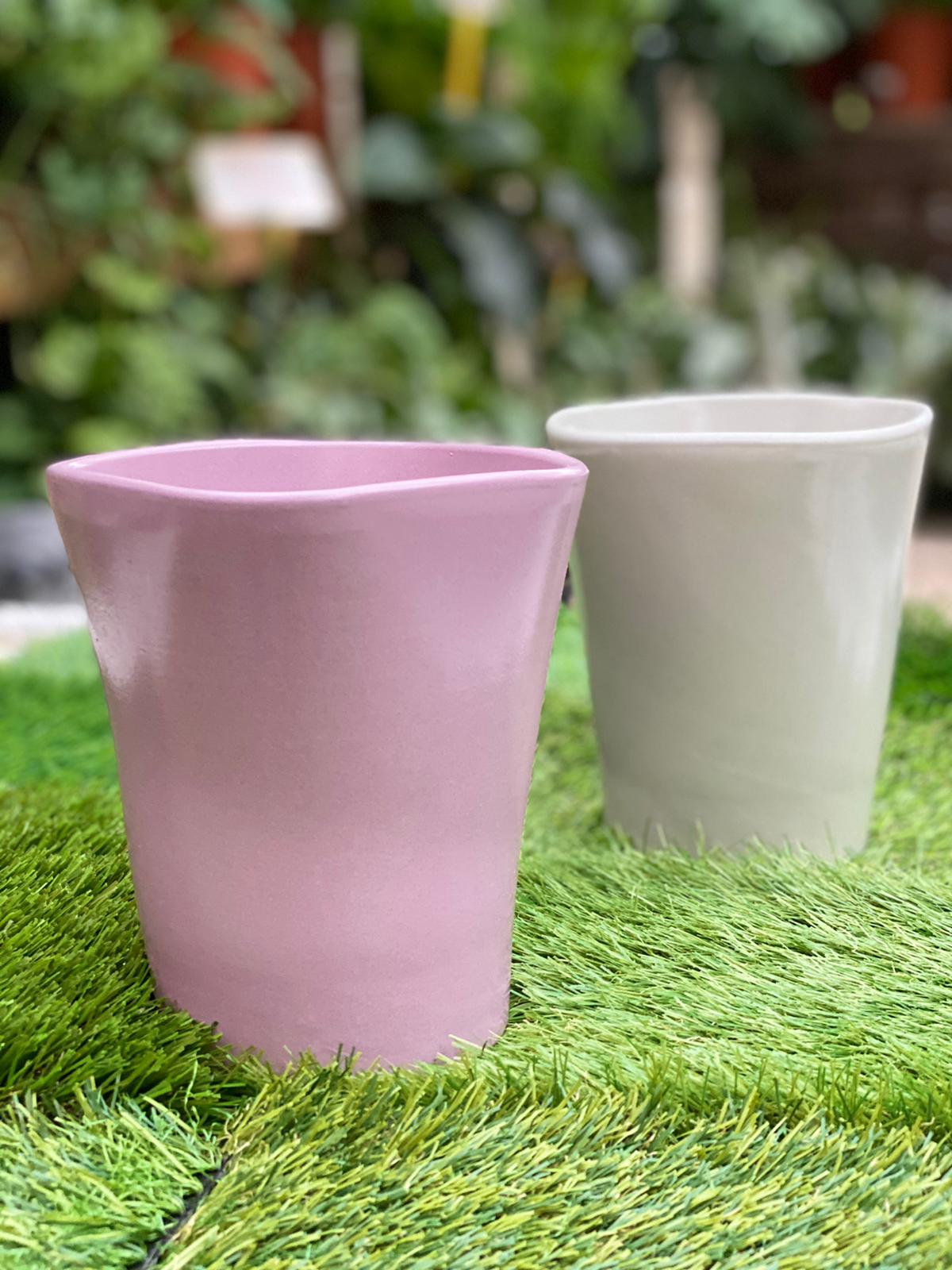 PEPINIERE DES ASPRES GRASSE 2024 ALPES MARITIMES JARDINERIE