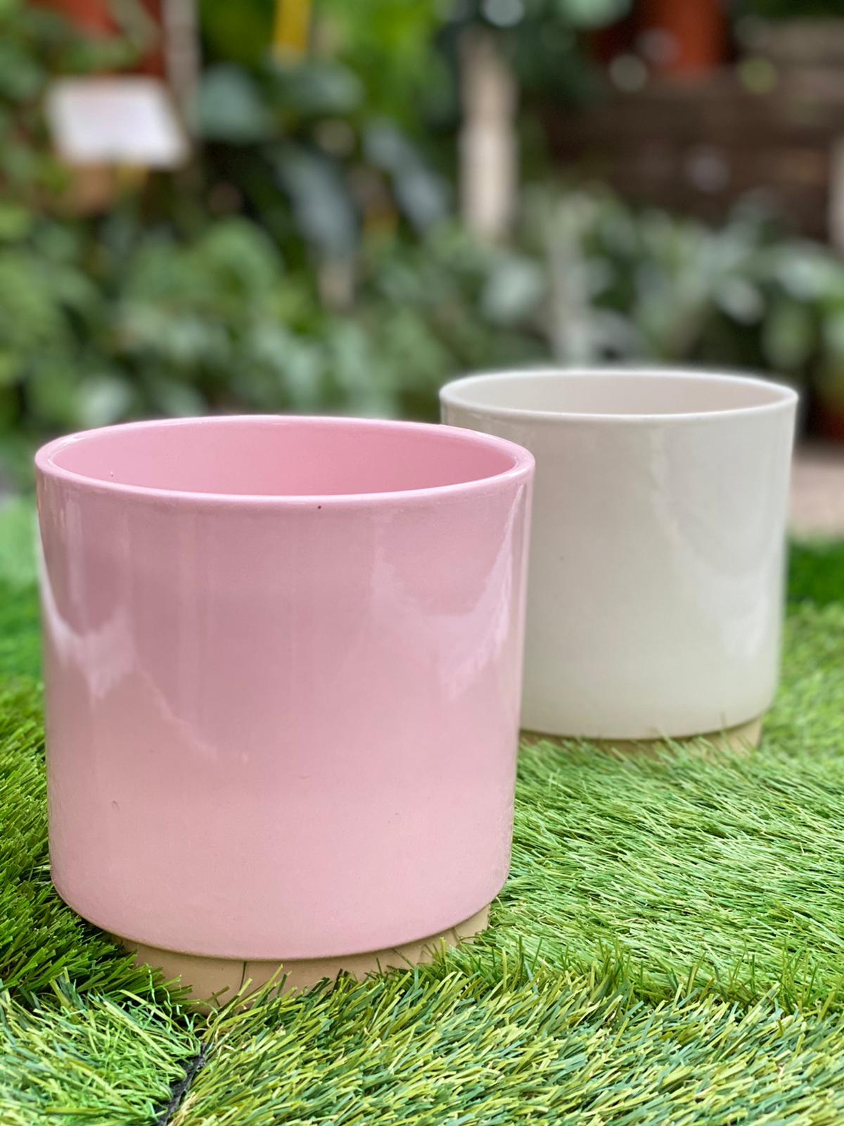 PEPINIERE DES ASPRES GRASSE 2024 ALPES MARITIMES JARDINERIE