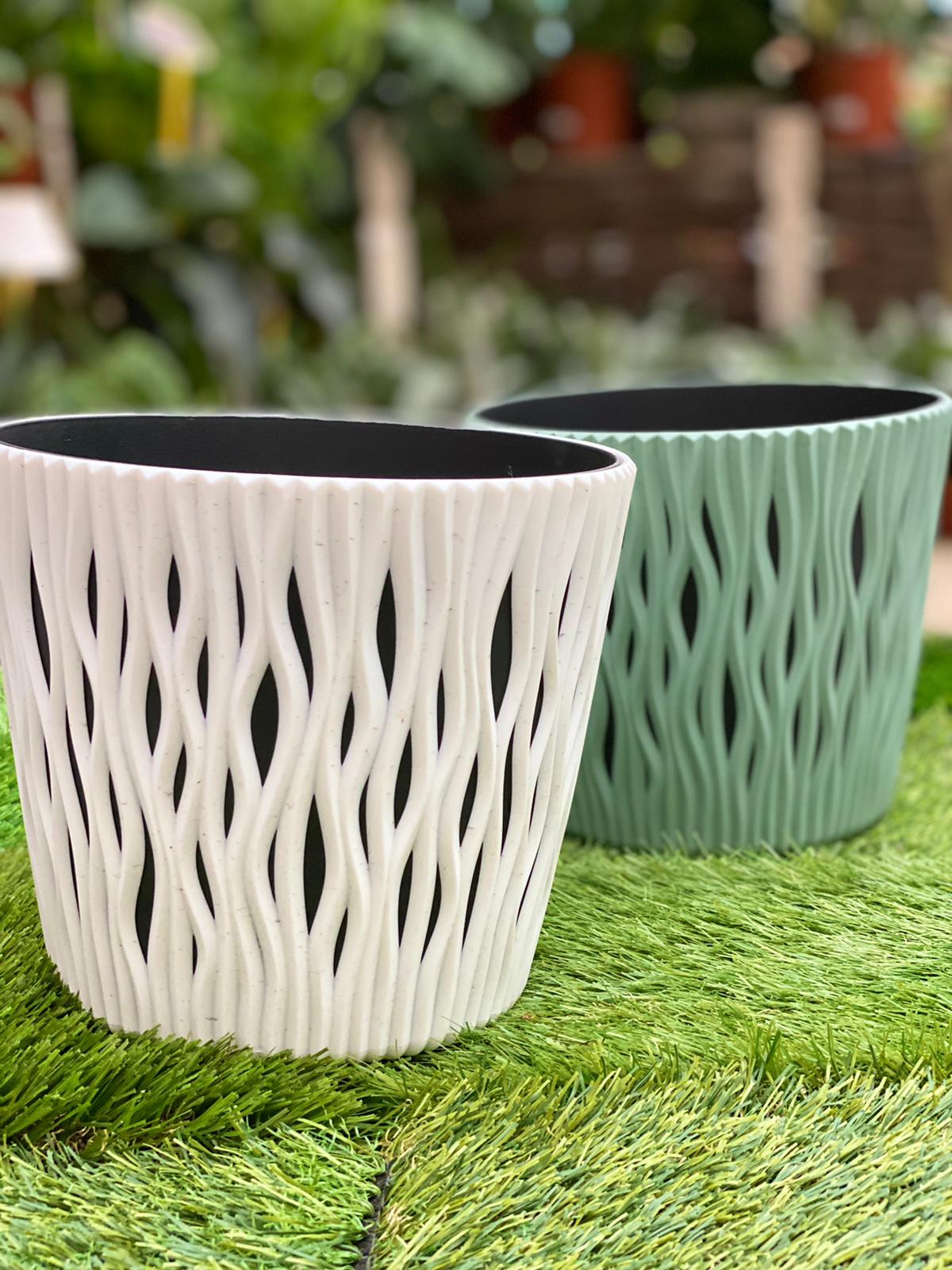 PEPINIERE DES ASPRES GRASSE 2024 ALPES MARITIMES JARDINERIEPEPINIERE DES ASPRES GRASSE 2024 ALPES MARITIMES JARDINERIE