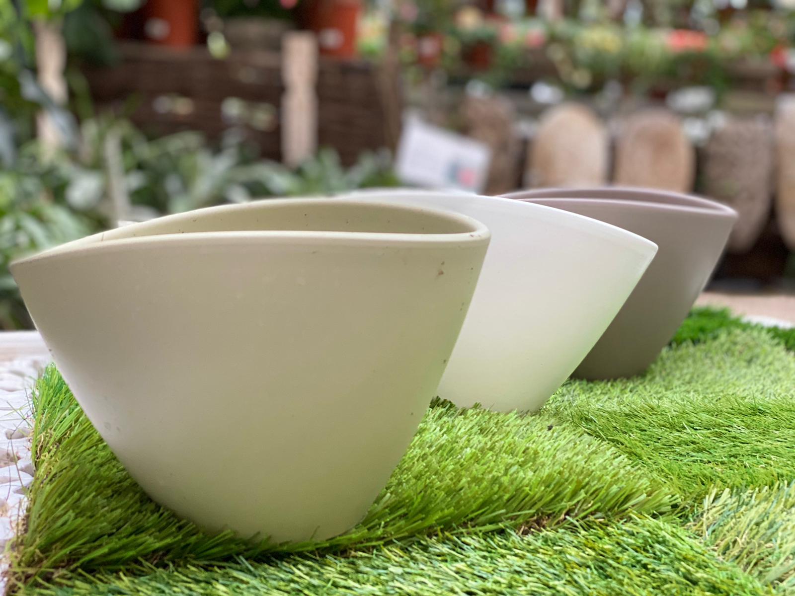 PEPINIERE DES ASPRES GRASSE 2024 ALPES MARITIMES JARDINERIE