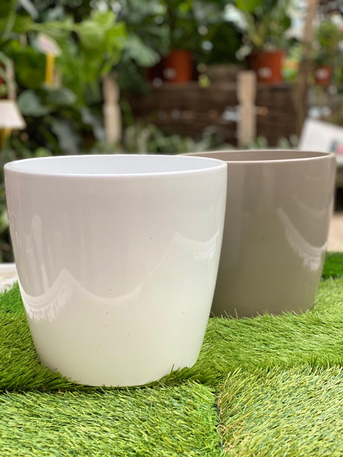 PEPINIERE DES ASPRES GRASSE 2024 ALPES MARITIMES JARDINERIE