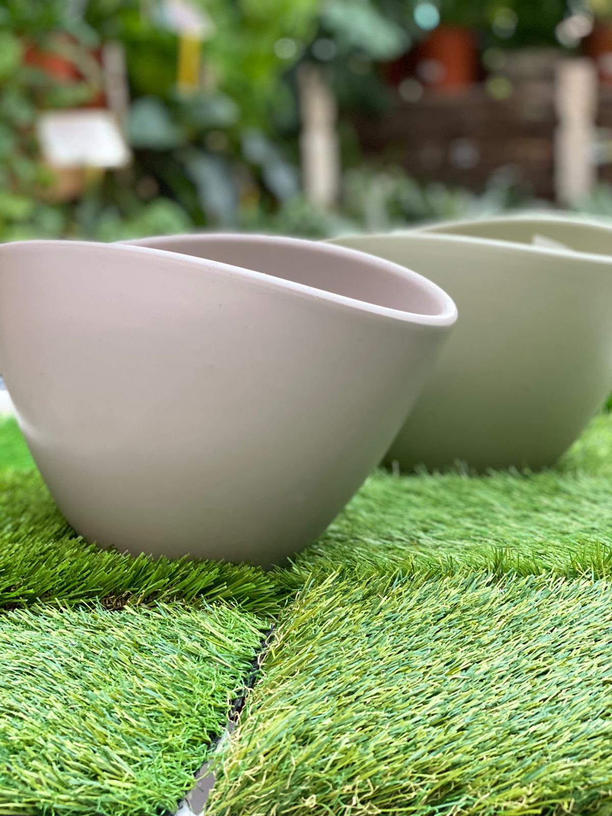 PEPINIERE DES ASPRES GRASSE 2024 ALPES MARITIMES JARDINERIE