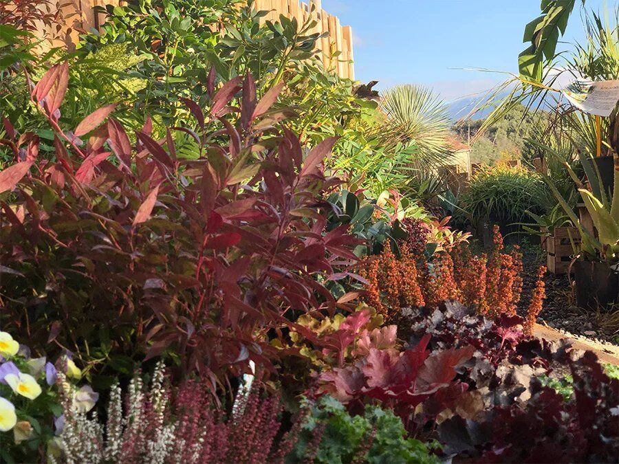 PEPINIERE DES ASPRES GRASSE 2024 ALPES MARITIMES JARDINERIE