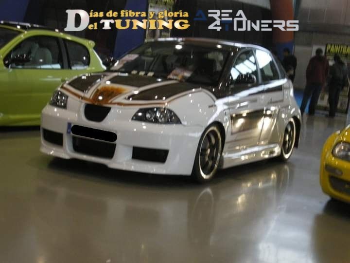 Concentración Tuning 2007 IFA Alicante