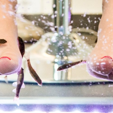 Fish Spa Becken Füße im Fish Spa Becken