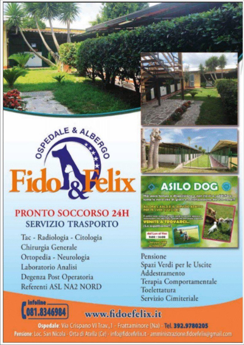 pronto soccorso cani servizio trasporto chirurgia ortopedia analisi diagnostica post operatoria Fido e Felix Frattamainore