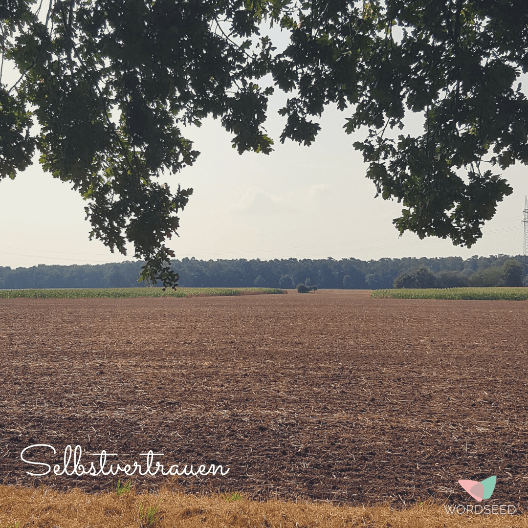 Auf dem Bild ist ein Feld zu sehen.