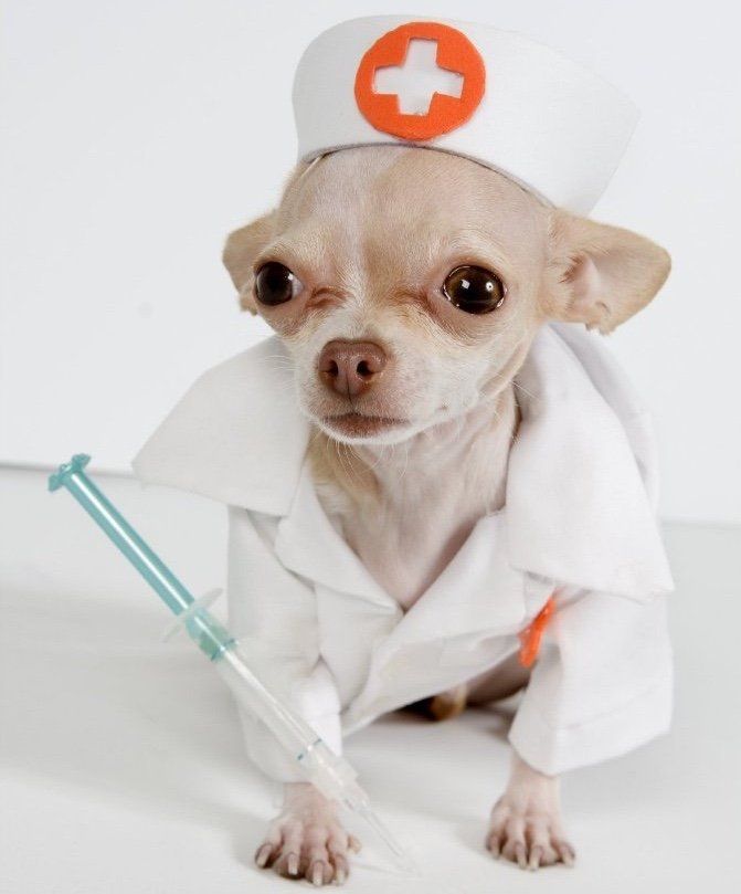 Pflegefachkraft-Pflegekraft-Krankenschwester