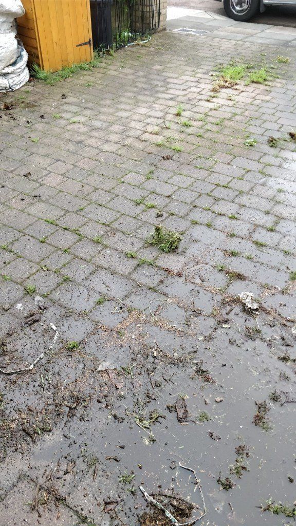 Driveway needs cleaning Drive needs jet washing / cleaning