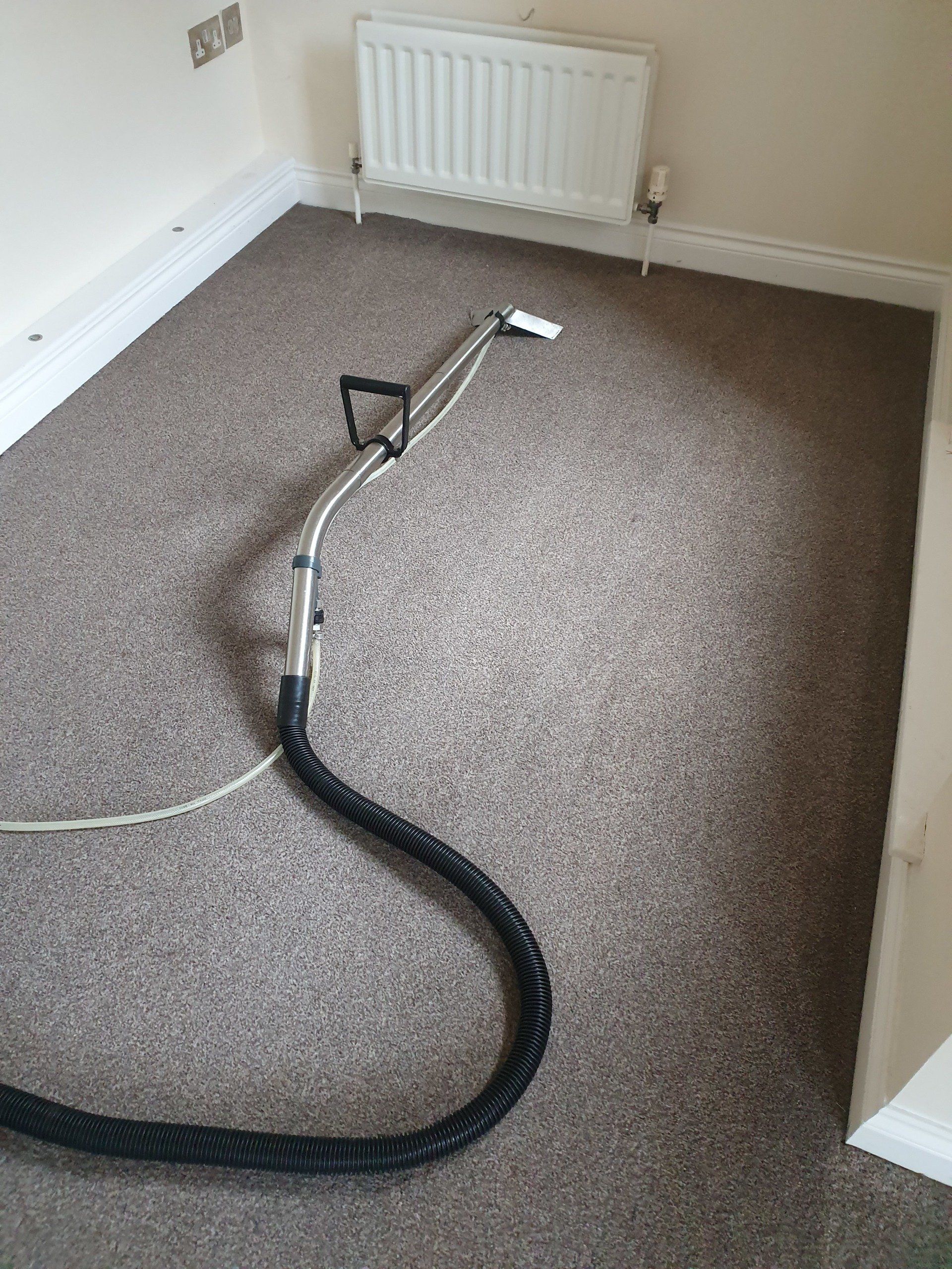 Carpet cleaning