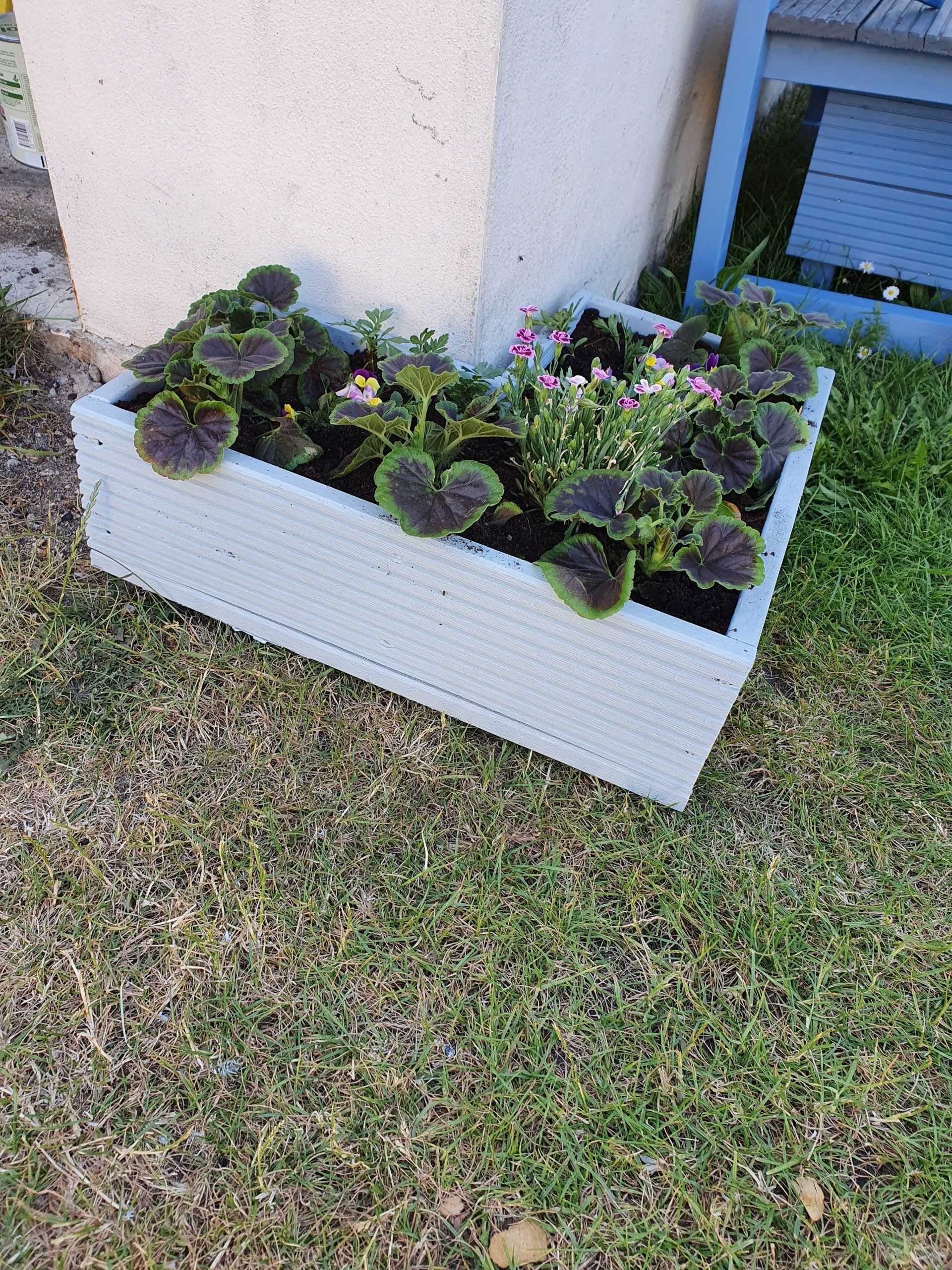 Corner flower planter