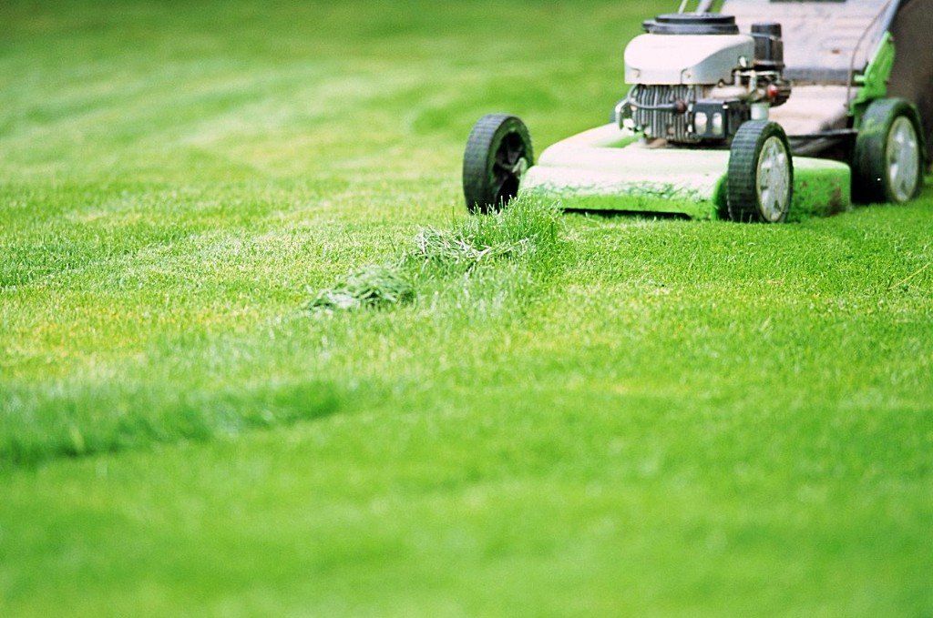 Lawn mover cutting the grass. Gardening in Bournemouth
