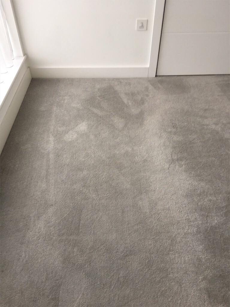 Stain removal from Carpet in bournemouth