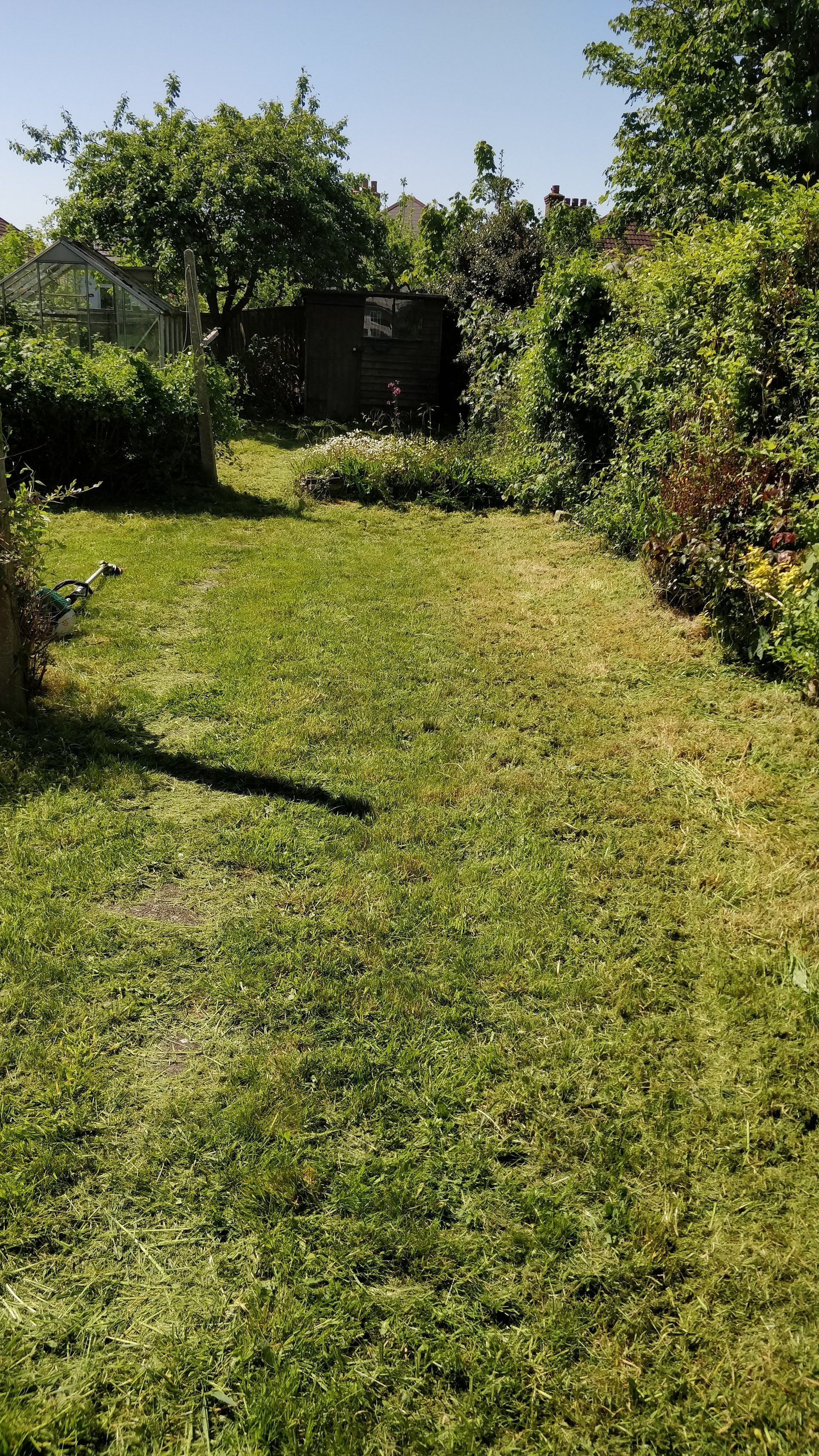 Nice trimmed bushes and lawn cut in bournemouth