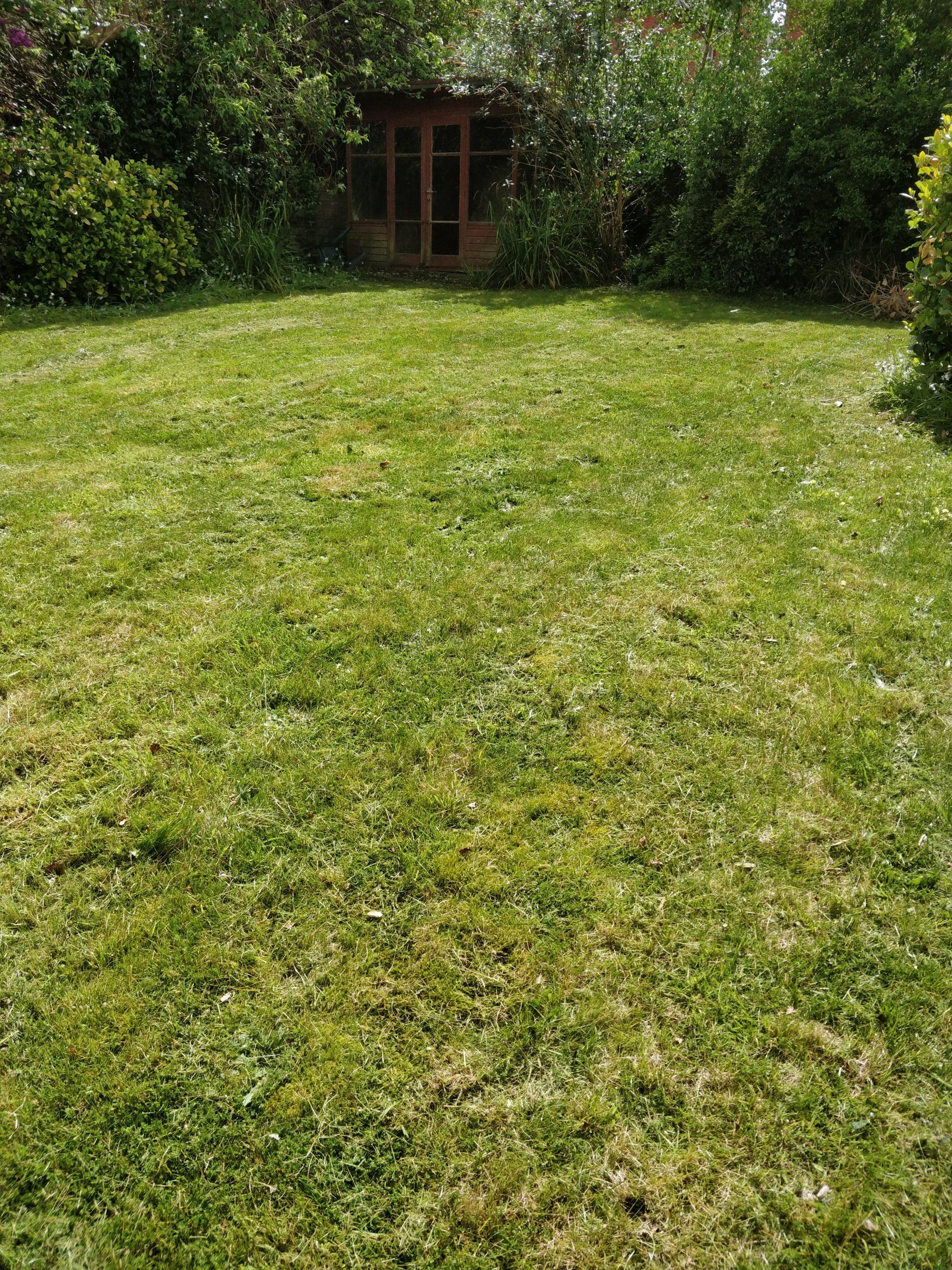Freshly cut lawn