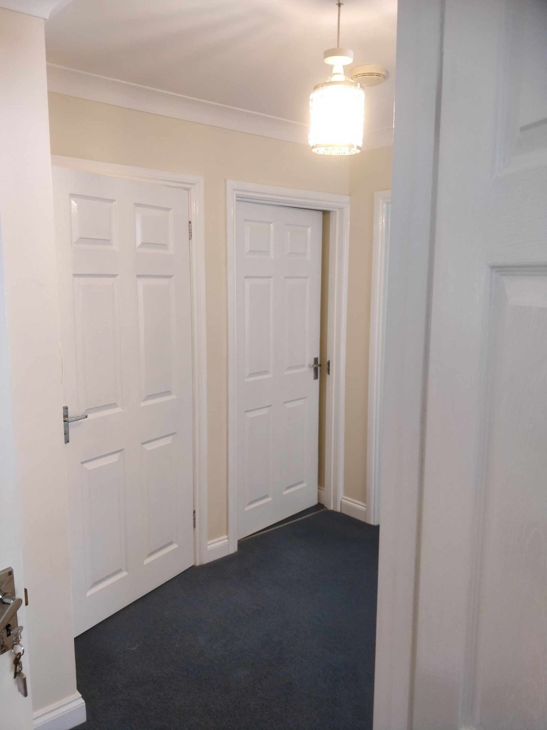 White Gloss Painted Doors