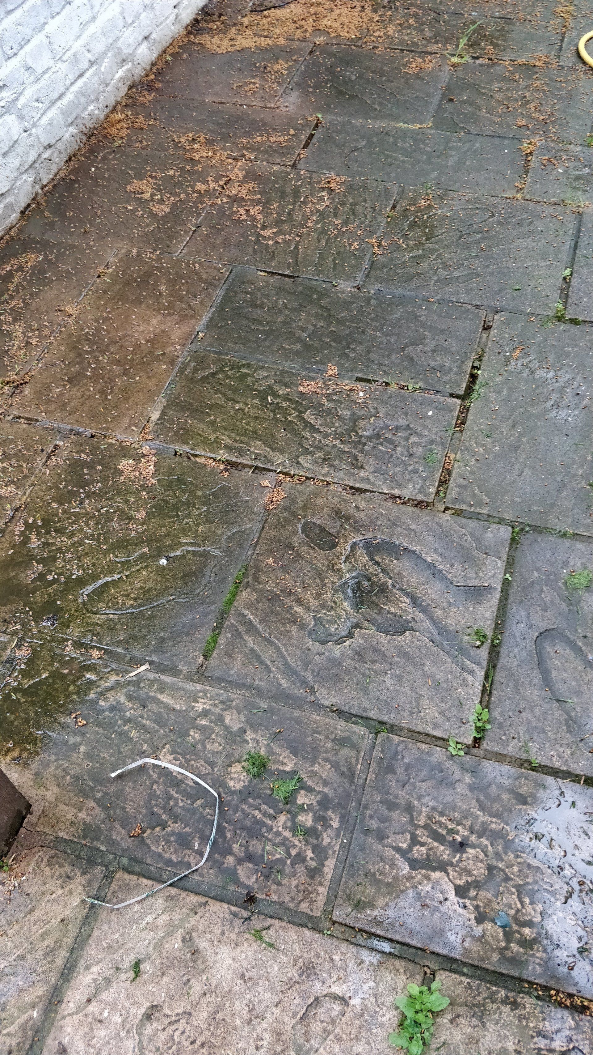 Dirty looking patio
