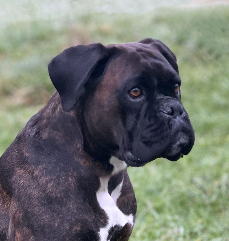 Aurelia von Schloss Schönberg