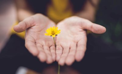 Psychotherapieverfahren von Niritya Speicher-Wilhelm, Heilpraktikerin für Psychotherapie Psychotherapie und Innere Kind-Heilung im Saarland: Heilpraktikerin für Psychotherapie bietet Gesprächstherapie, Gestalttherapie und Meditation im Raum Saarbrücken an - Püttlingen/Saar