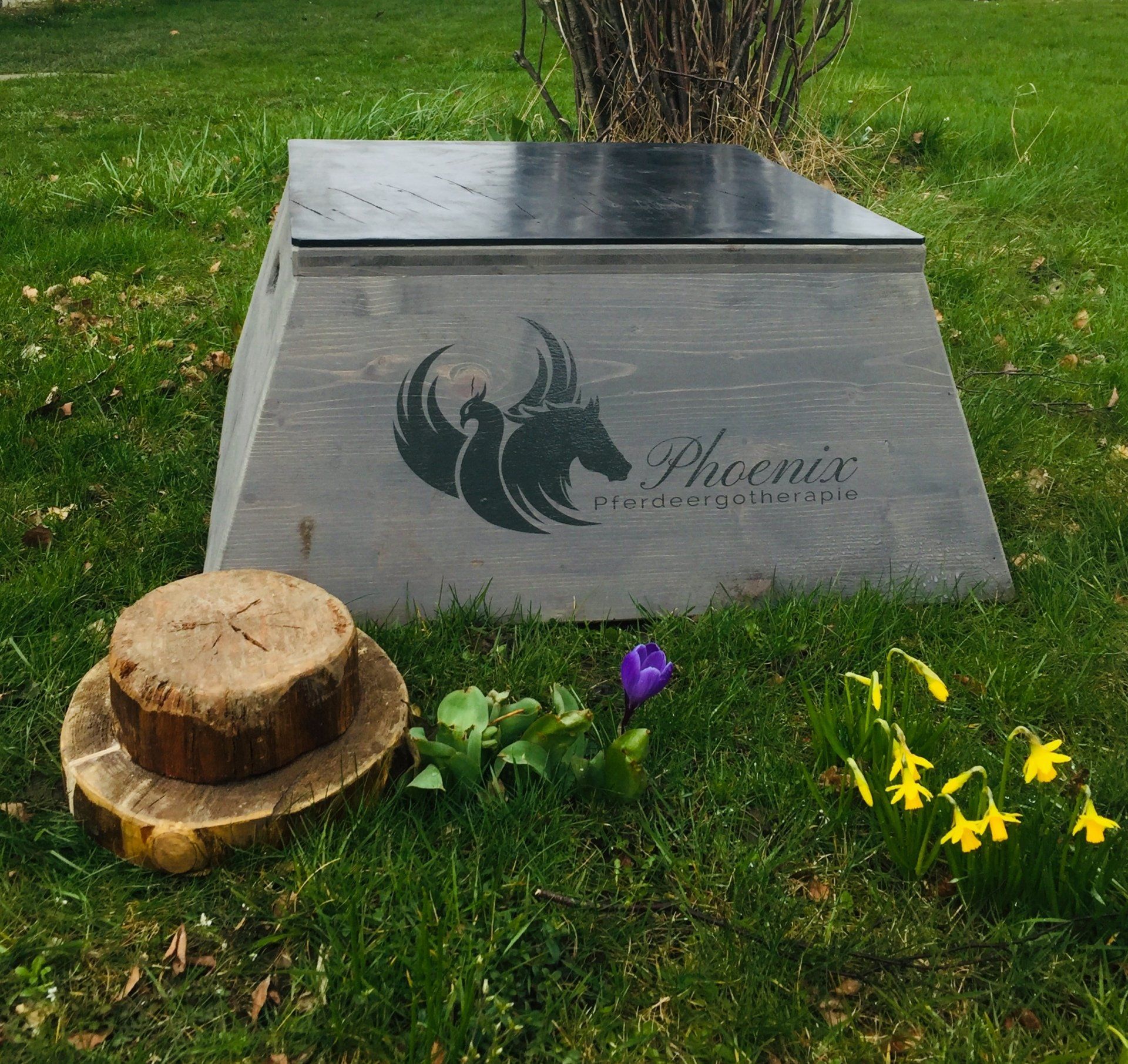 Ergotherapie für Pferde