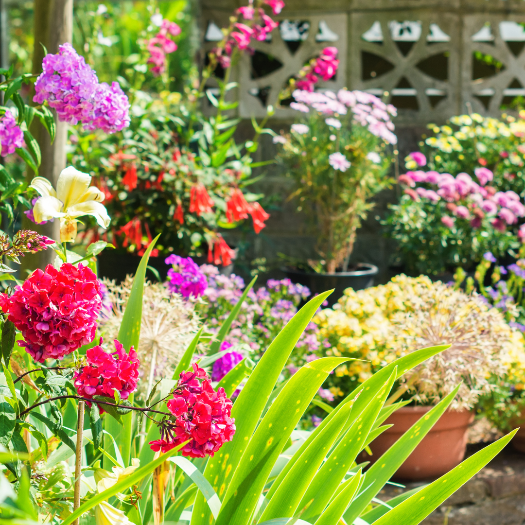 Common Garden Mistakes