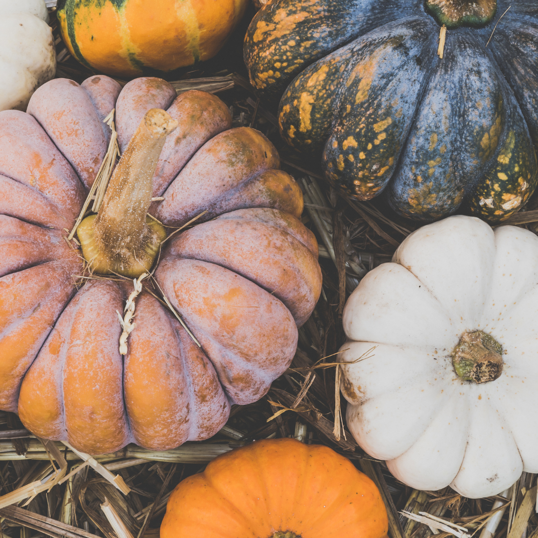 October Gardening Jobs