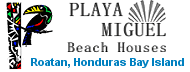 Playa Miguel logo