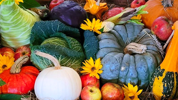 Link zur Seite Erntedank Link: Hier geht es zur Seite Erntedank