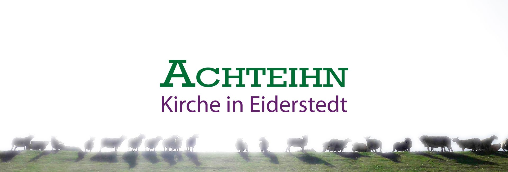 Das Bild zeigt Schafe auf einem Deich in einem sehr hellen Licht. Darüber steht das Logo des Gemeindebriefes.