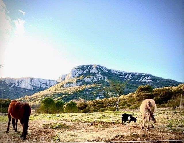 Vallée de TASHUNKA