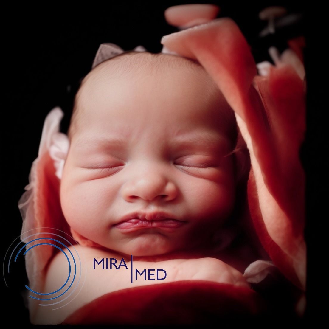 HIPER REALISMO CENTRE MIRAMED GRANOLLERS SANT CUGAT