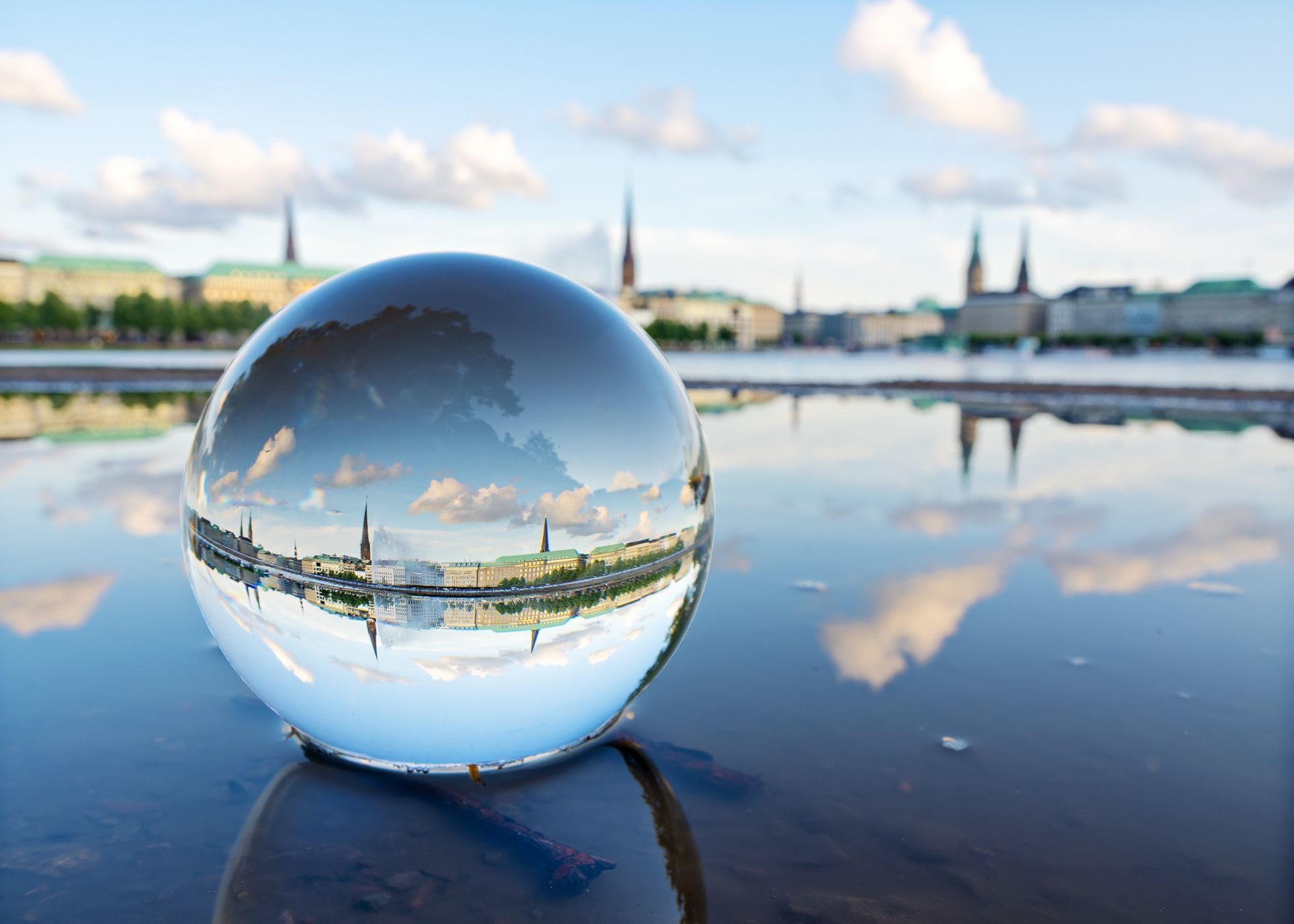 Die Faszination einer Pfütze