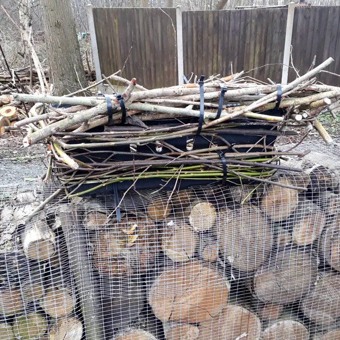 Buzzard platform Norsey Wood