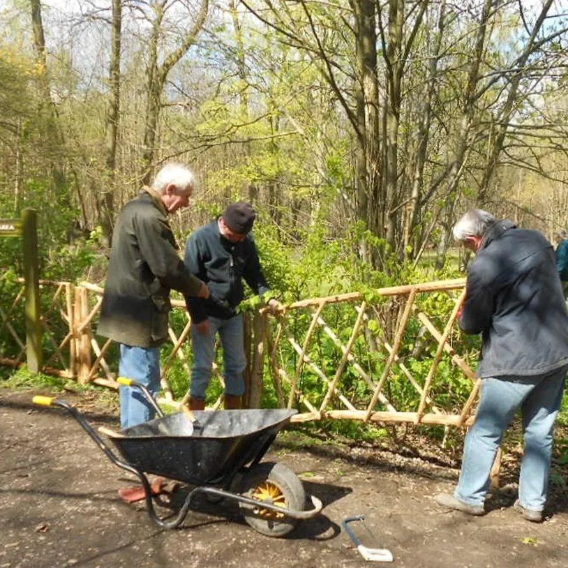 Installing hurdles around the picnic area Norsey Wood