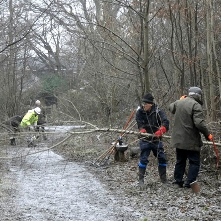 Ride widening Norsey Wood