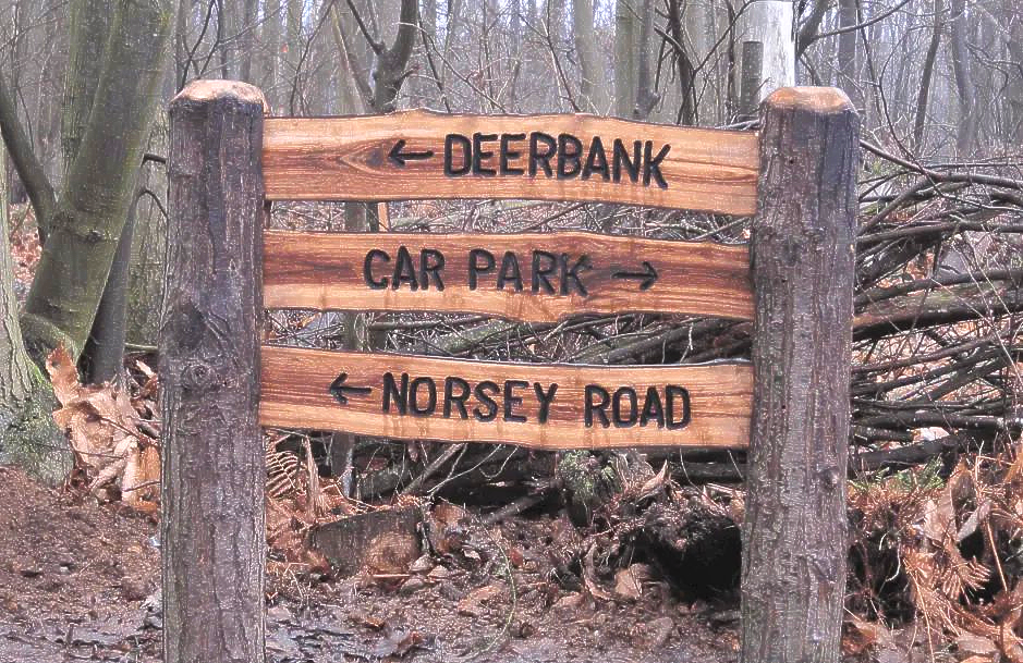 Sign post Norsey wood